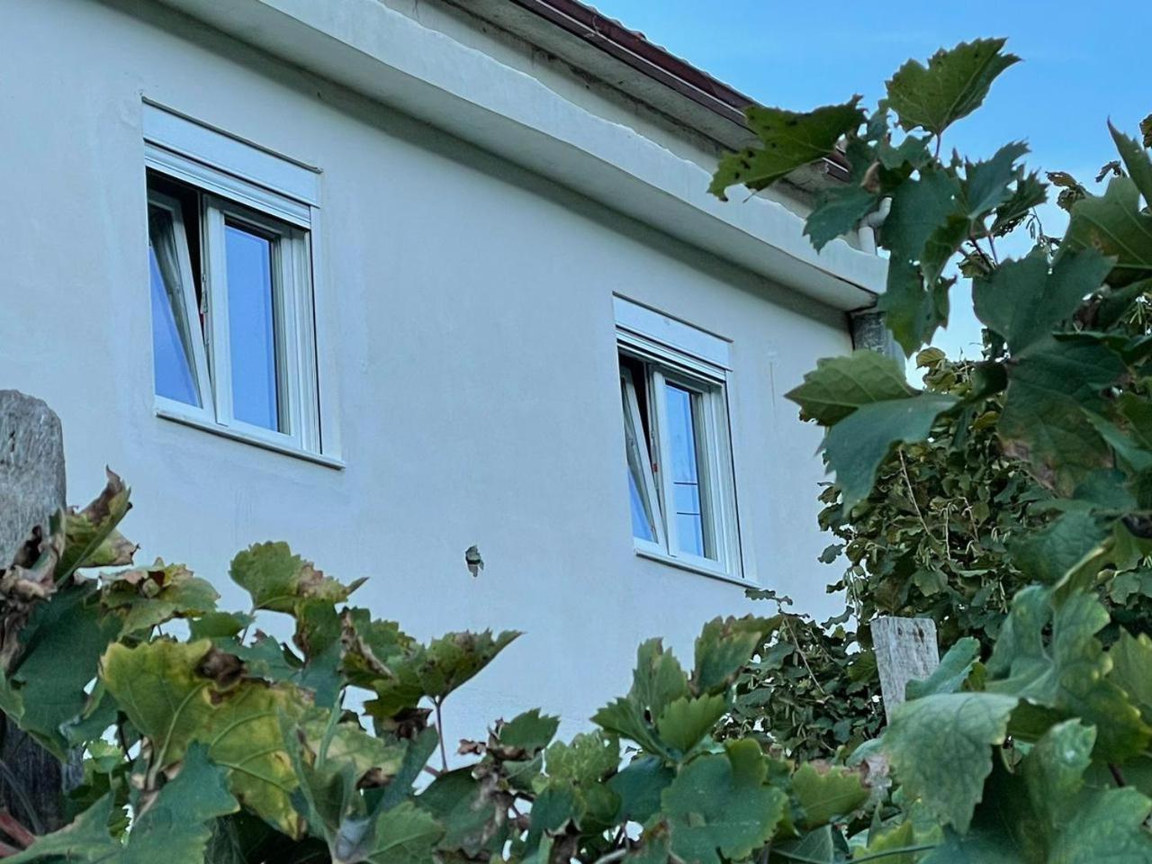 Vacation Ilia Apartment